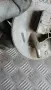 Бензинова помпа VW Golf 3 1.8i 1994 1H0919051AK Volkswagen Golf III (1991-1997), снимка 2