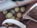 Тенис топки всякакъв вид, снимка 3