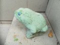 ЖАБА-ВНОС ХОЛАНДИЯ, снимка 10