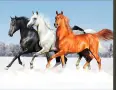 диамантени гоблени, снимка 7