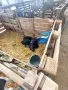 Телета мъжки черношарени, снимка 3
