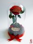 Подарък за Годишнина / Естествена Вечна Роза в Голяма Стъкленица / Оригинален Подарък за Жена