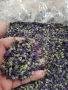 Сушен Слез Цвят  / Dried Mallow Flowers - Malva sylvestris, снимка 2