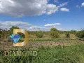 Парцел в село Ястребово, общ. Опан, снимка 2