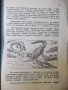 Книга "В царството на животните.Крокодил-9-Г.Дражев"-176стр., снимка 4