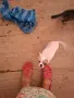 Продавам чихуахуа , снимка 1