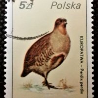 Полша, лот 1 - марки "Животни", 1*9, снимка 7 - Филателия - 31253506