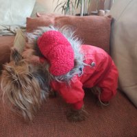 Кучешка дрешка, кучешко яке, кучешко палто, снимка 7 - За кучета - 38804541
