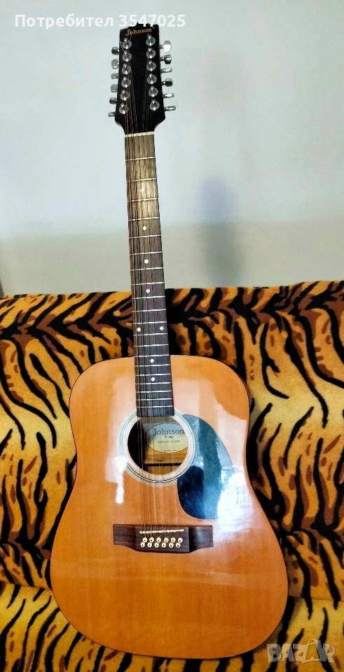 Електро акустична китара Johnson -12 струнна ,с Fishman 301, снимка 1