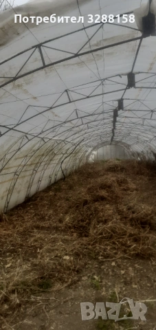 Оранжерия--ферми за оранжерия 