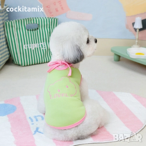 Яке за куче размер S