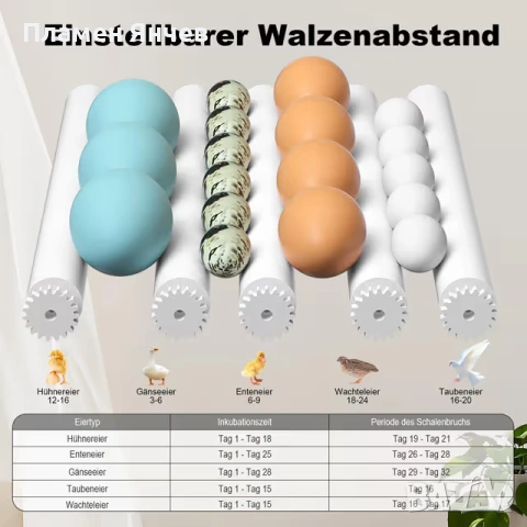 CoInceptus напълно автоматичен инкубатор за 12-16 яйца, снимка 3 - За птици - 53329159