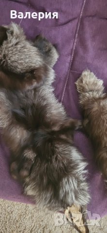 Яка от сребърна лисица , снимка 2 - Шапки - 42425495