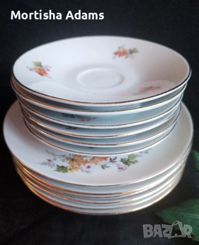 Немски сервиз за кафе- 21части, снимка 10 - Сервизи - 52175404