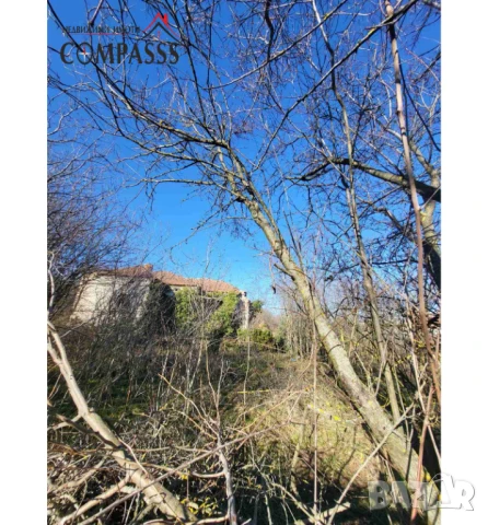 с. Ген. Колево, Обл. Добрич, къща с дворно място – 24000лева!, снимка 2 - Къщи - 50685950