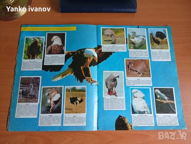 Спасете застрашените животни, снимка 6 - Филателия - 53964540