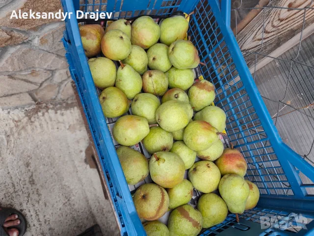 Круши, Ябълки,Мед и Сокове , снимка 7 - Домашни продукти - 56258345