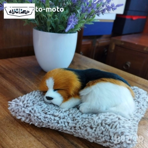 Влагоабсорбатор Automat, Плюш куче, За автомобил, дом и др, Два цвята, снимка 5 - Аксесоари и консумативи - 51620140