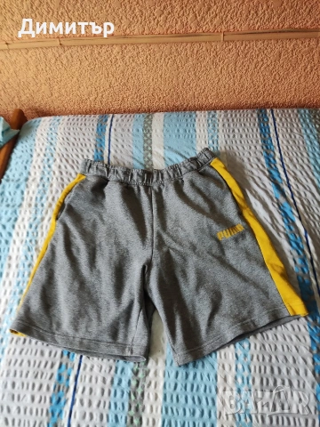 Puma