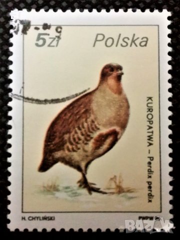 Полша, лот 1 - марки "Животни", 1*9, снимка 7 - Филателия - 31253506