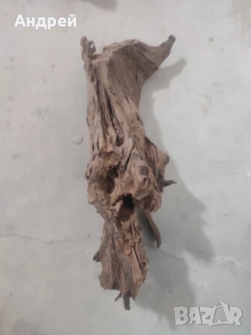 Огромни Мангров корен 50+см. 60 - 85лв. , снимка 4 - Оборудване за аквариуми - 51042014