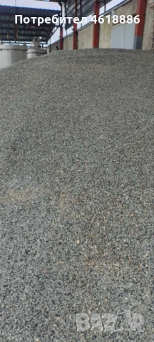 Продавам шарен слънчоглед 850 лв / тон, снимка 3 - Други - 52005794