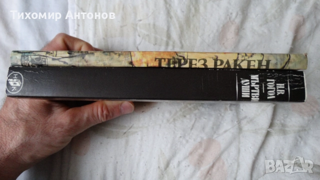 Н. В. Гогол - Мъртви души 1981; Емил Зола - Терез Ракен 1983, снимка 2 - Художествена литература - 52594504
