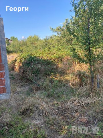 Косене на Трева и Почистване на Дворове, снимка 7 - Почистване на домове - 37740339