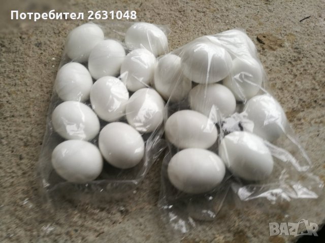  Изкуствени пластмасови яйца за кокошки  тежки , снимка 2 - За птици - 35279530