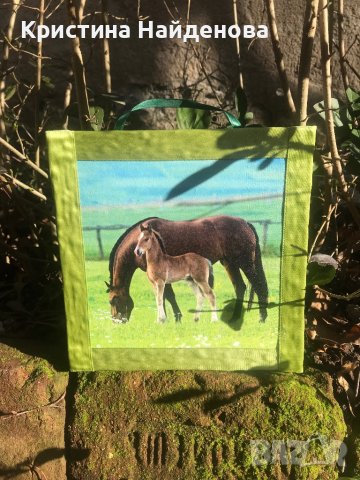 Продавам пана, снимка 11 - Картини - 32314995