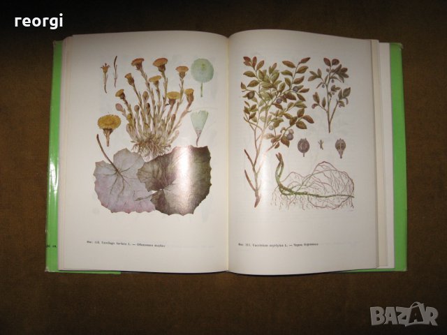 Фитотерапия-билколечение и билкосъбиране, снимка 6 - Специализирана литература - 31947365