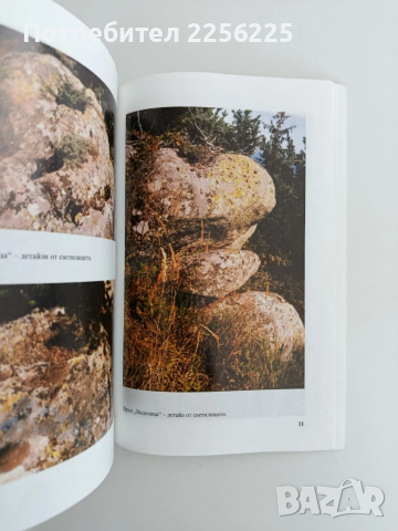 Доспат - страници от миналото, снимка 4 - Художествена литература - 51718729