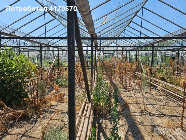 Продава се стъклена оранжерия, снимка 13 - Оранжерии - 51642468
