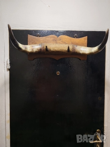 Рога от вол, Тексас , каубой, родео, закачалка. , снимка 2 - Антикварни и старинни предмети - 52000137