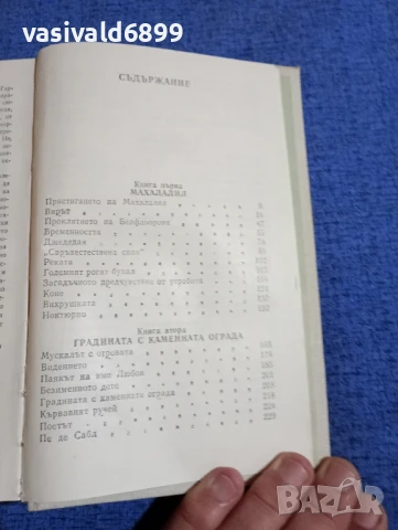 Джойс Каръл Оутс - Белфльор , снимка 5 - Художествена литература - 50989886