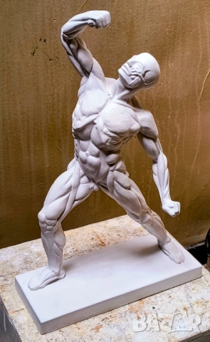 Екорше / Анатомична фигура / Гипсов модел, снимка 15 - Други - 51458325