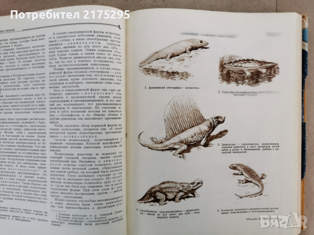 Детска енциклопедия РСФСР том2-1959г., снимка 6 - Енциклопедии, справочници - 44820534
