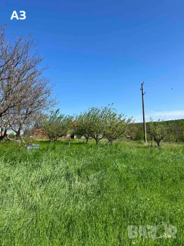 Продавам парцел в село Стамболийски, област Хасково, снимка 11 - Парцели - 50131042