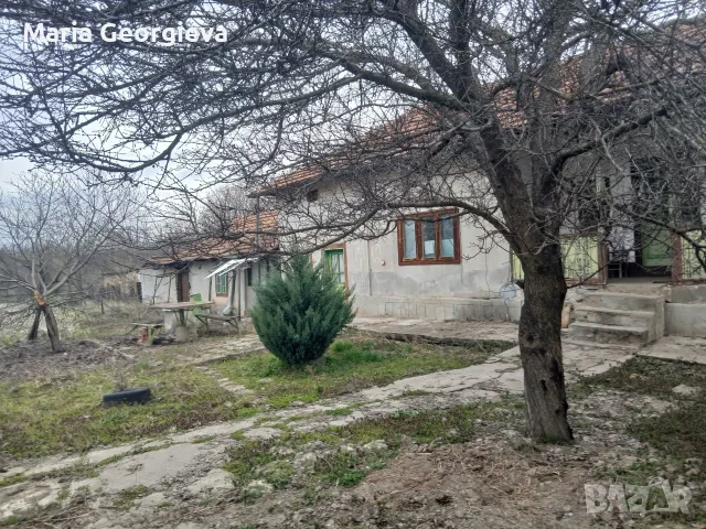 Продавам селски имот , снимка 5 - Къщи - 56533265