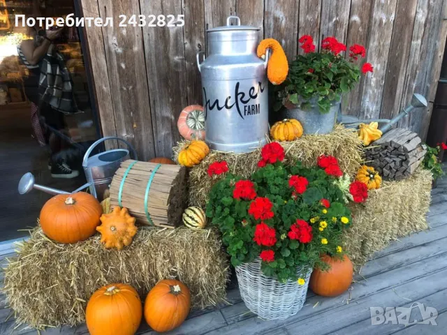 Бали слама за декорация, фотосесии, Хелоуин, мулчиране, за животни 