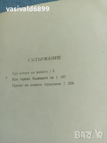 Камен Калчев - Голямата надежда , снимка 6 - Българска литература - 55720190