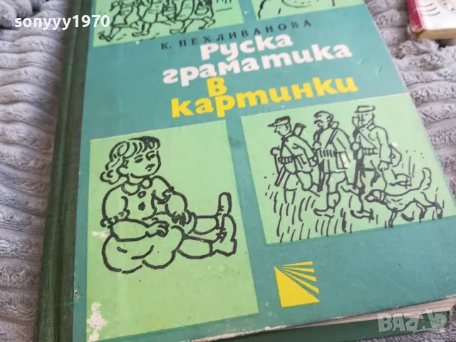 РУСКА ГРАМАТИКА В КАРТИНКИ 0601251536, снимка 2 - Художествена литература - 48572249