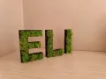 ЕЛИ/НЕЛИ със скандинавски мъх , снимка 1