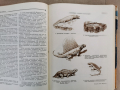 Детска енциклопедия РСФСР том2-1959г., снимка 6