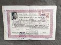 Продавам стар документ Удостоверение 1 Девическа гимназия София 1951, снимка 1