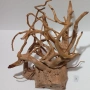 Корен от Азалия /декорация/ 3, снимка 2
