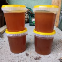 Пчелен мед от Сакар планина, снимка 2 - Пчелни продукти - 34426171