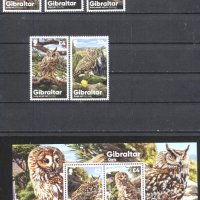 Чисти марки и блок Фауна Птици Сови 2020 от Гибралтар, снимка 1 - Филателия - 39219602