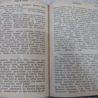 Книга "Мария Кюри - Ева Кюри" - 414 стр., снимка 5 - Художествена литература - 29742319