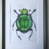 Зелено бръмбарче, снимка 1 - Картини - 44434786